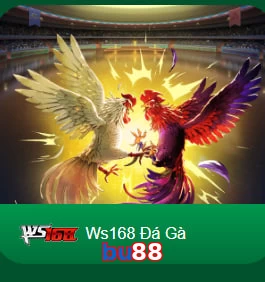 bu88
